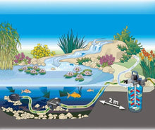 Load image into Gallery viewer, Oase Filtoclear 5000/13000/19000/31000