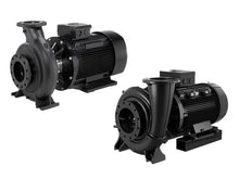 Load image into Gallery viewer, Grundfos 4-Pole NB : Fixed Speed Close Coupled End-Suction Pump (En 733)