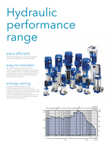 Load image into Gallery viewer, Lowara 33 E-Sv Series Vertical Multi Stage Pump 304 S/S 415 V 1 Phase 50Hz