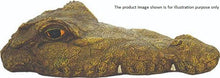 Load image into Gallery viewer, Reefe Lurking Croc Floating Ornament 35cm/46cm