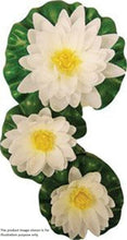 Load image into Gallery viewer, Reefe Decor Floating Lilies Set of 3, Pink/White/Yellow