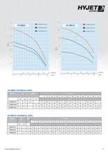 Load image into Gallery viewer, Hyjet Dual Booster Pump Set With Vsd Controller And Pressure Tank