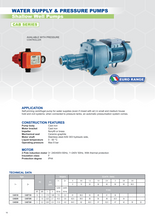 Load image into Gallery viewer, Hyjet Cast Iron Shallow Well Pump For Water Supplies 240V