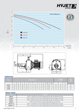 Load image into Gallery viewer, Hyjet Cast Iron Shallow Well Pump For Water Supplies 240V