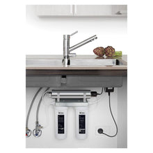 Load image into Gallery viewer, Puretec Ecotrol Undersink Twin Filter & UV System With Tripla T1/T2