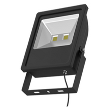 Load image into Gallery viewer, AZOOGI Flood Light 100W 240V IP65 Day Light/Warm White