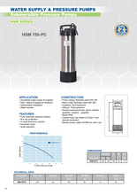 Load image into Gallery viewer, Hyjet Multistage Submersible Pump With In Built Pressure Controller