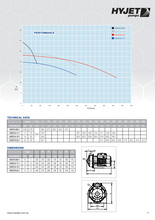 Load image into Gallery viewer, Hyjet Single Stage SS304 Centrifugal Irrigation Water Transfer Pump