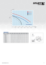Load image into Gallery viewer, Hyjet Automatic/Mannual Submersible Vortex Pump For Grey Water