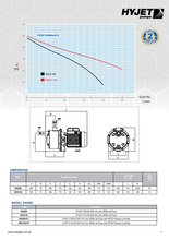 Load image into Gallery viewer, Hyjet Self Priming Stainless Steel 304 Jet Pump 240V With Pressure Controller