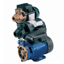 Load image into Gallery viewer, Lowara Peripheral Turbine Pump 240V 1 Phase 50Hz With 1 Years Warranty