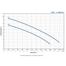 Load image into Gallery viewer, Pedrollo Vortex Submersible Pump With Vertical Adjustable Float Switch