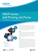 Load image into Gallery viewer, Goulds Self Priming Jet Pump With Centripro MP Plus Pump Controller